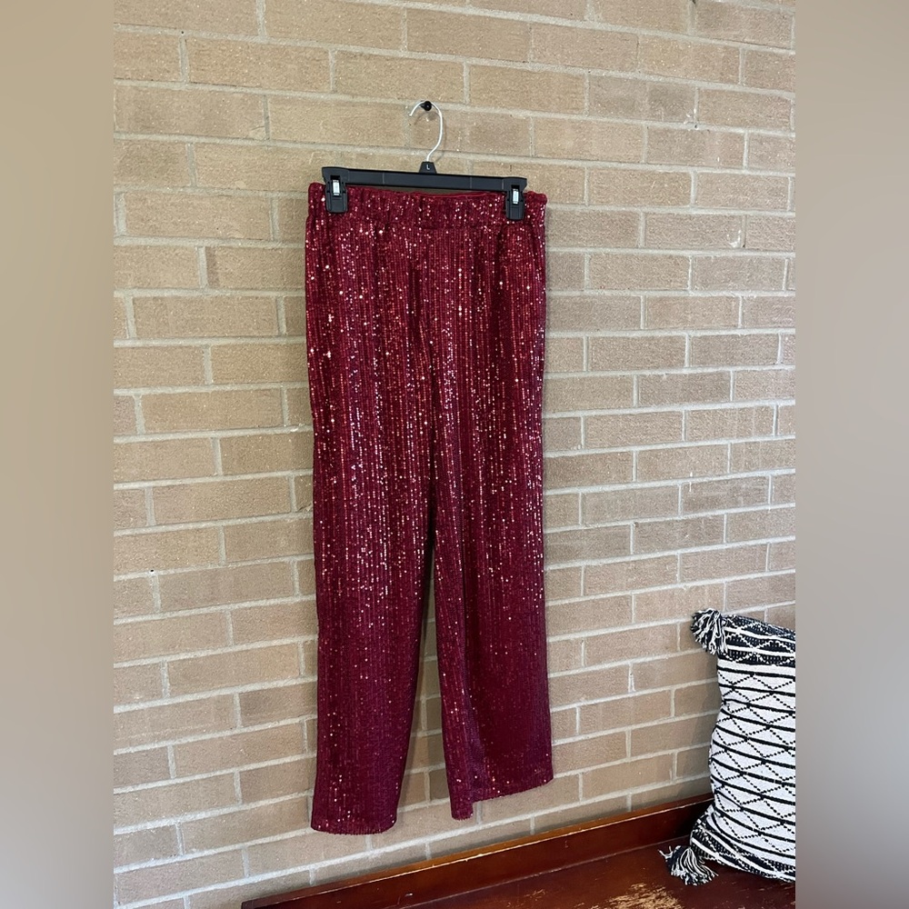 TCEC Burgundy Sequin Pants - Picture 3 of 4